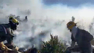 Las llamadas han calcinado los frailejones. Se pide ayuda internacional para controlarlo.