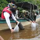 El Ministerio de Agricultura y la Aunap adelantan programas de fomento a la actividad pesquera en Magdalena, Santander y Antioquia, entre otros.