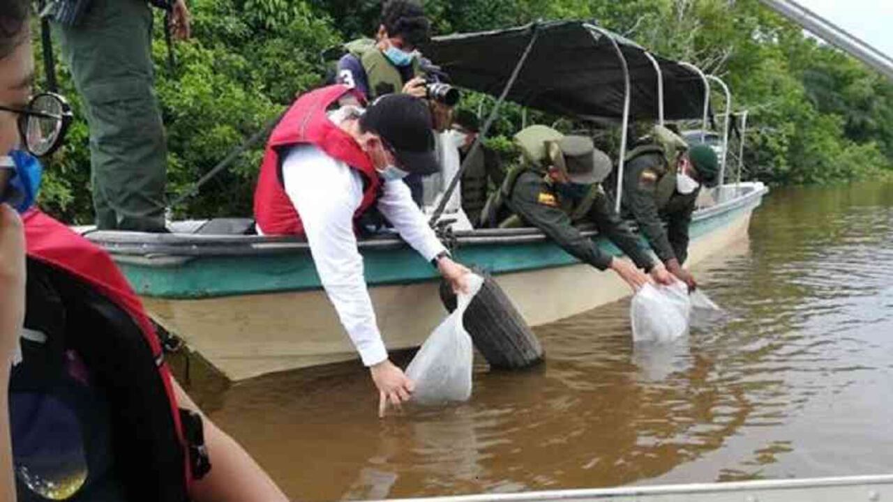 El Ministerio de Agricultura y la Aunap adelantan programas de fomento a la actividad pesquera en Magdalena, Santander y Antioquia, entre otros.