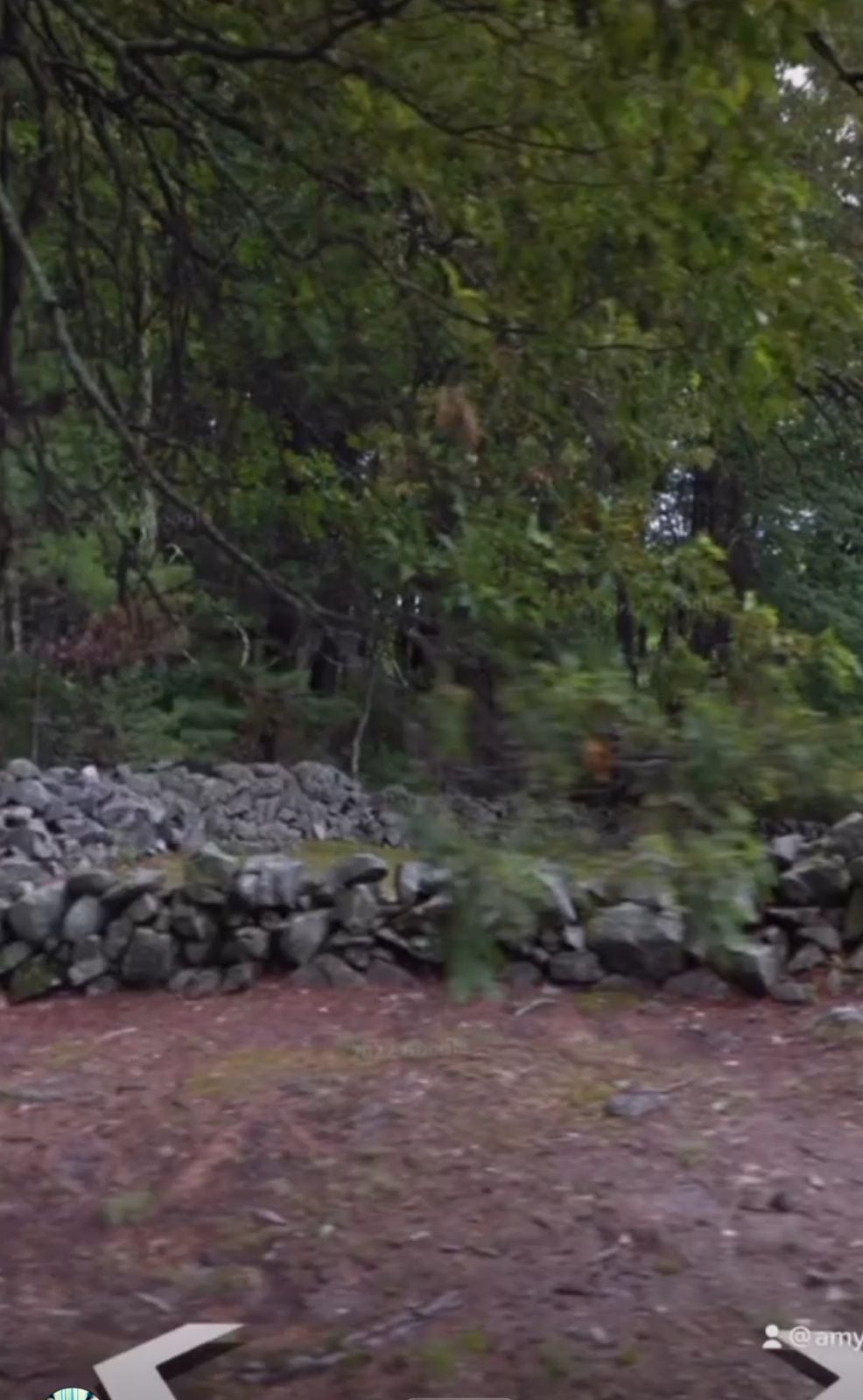 Google a menudo elimina a una persona atrapada por el automóvil de la compañía. Esto puede poner en tel ad ejuicio la veracidad de la imagen