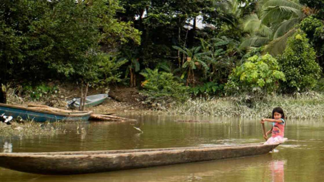 Chocó sigue siendo el enclave de la guerra entre quienes se disputan los territorios que antes fueron ocupados por las FARC.