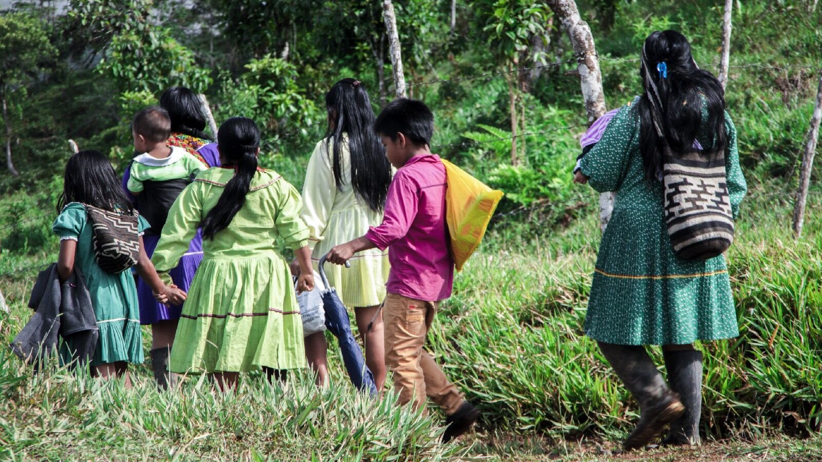 El aumento de niños indígenas muertos en Risaralda se estaría dando por enfermedades diarreicas agudas, infecciones respiratorias y desnutrición