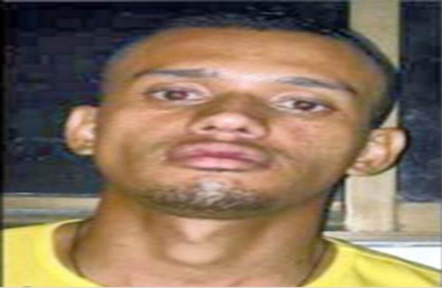 574 capturados en 2009. Noviembre 15: Euclides Alberto Bravo, alias El Guajiro. Jefe de Comisión.