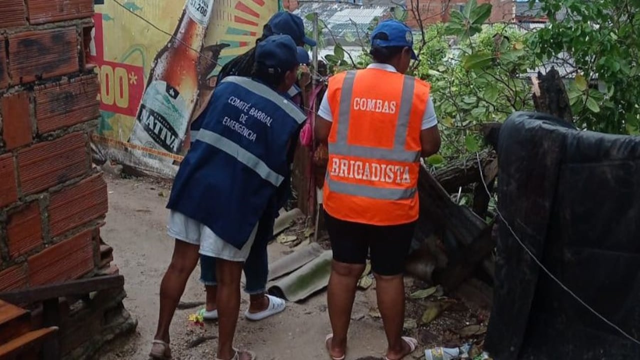 Se pueden inscribir las organizaciones sociales y comunitarias, empresas públicas y privadas, y los Comités Barriales de Emergencia.