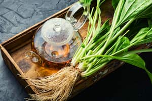 El Llantén ofrece una serie de beneficios a la salud del organismo.