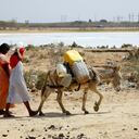 GUAJIRA
SAN TROPEL
SEQUIA
CALENTAMIENTO GLOBAL
INDIOS WAYUU
WAYUU
ALTA GUAJIRA
HAMBRE
POBREZA
FEBRERO 14 DE 2016
FOTO LEON DARIO PELAEZ/ SEMANA
