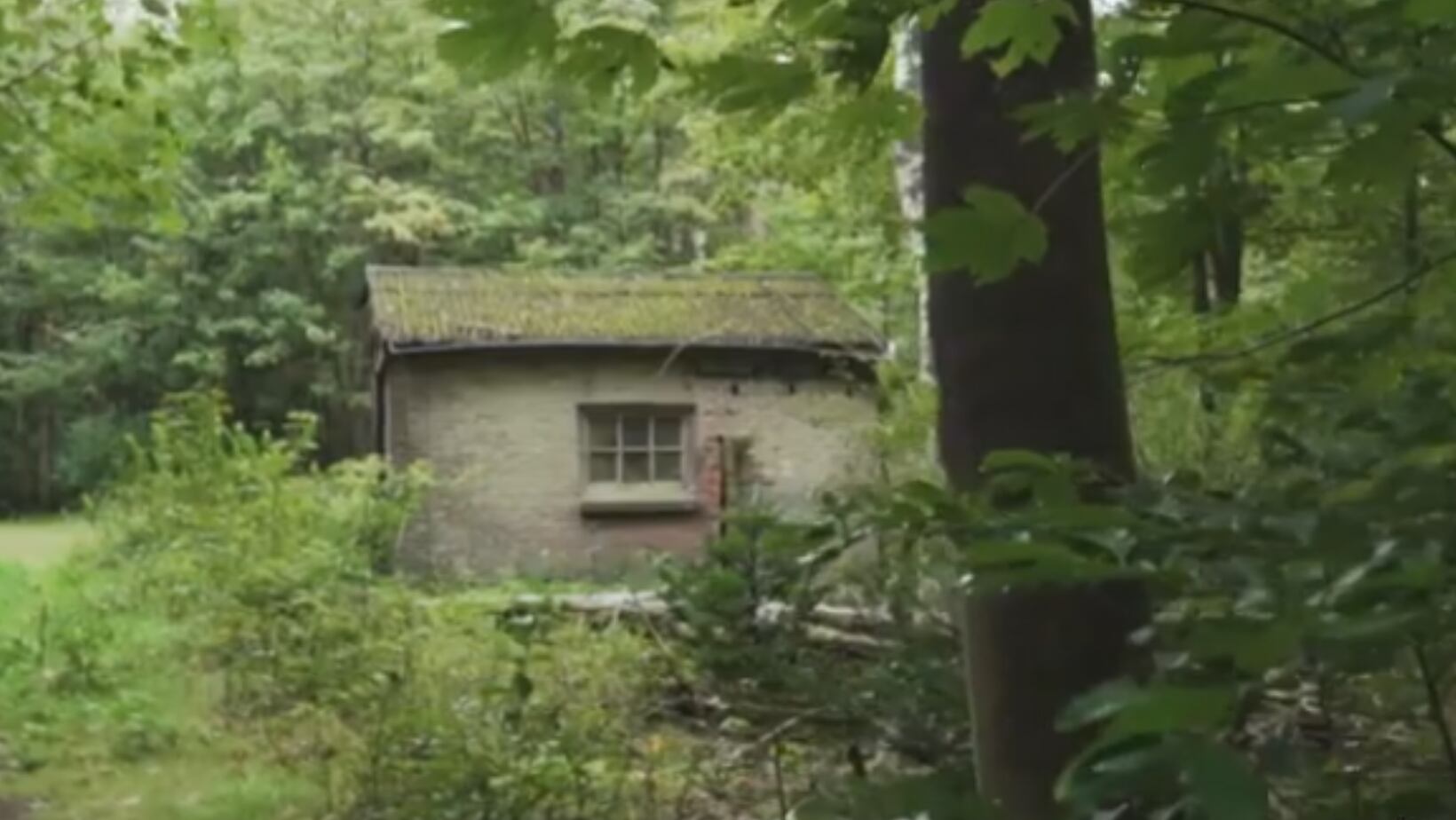 La leyenda del la casa del niño de los mangos