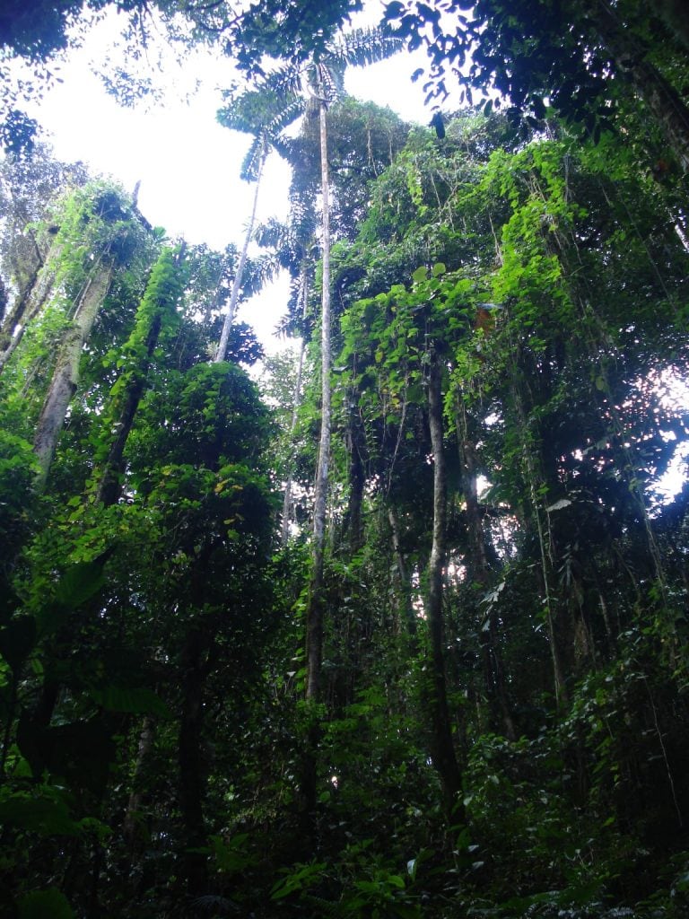 Parque Nacional Natural Los Katíos
