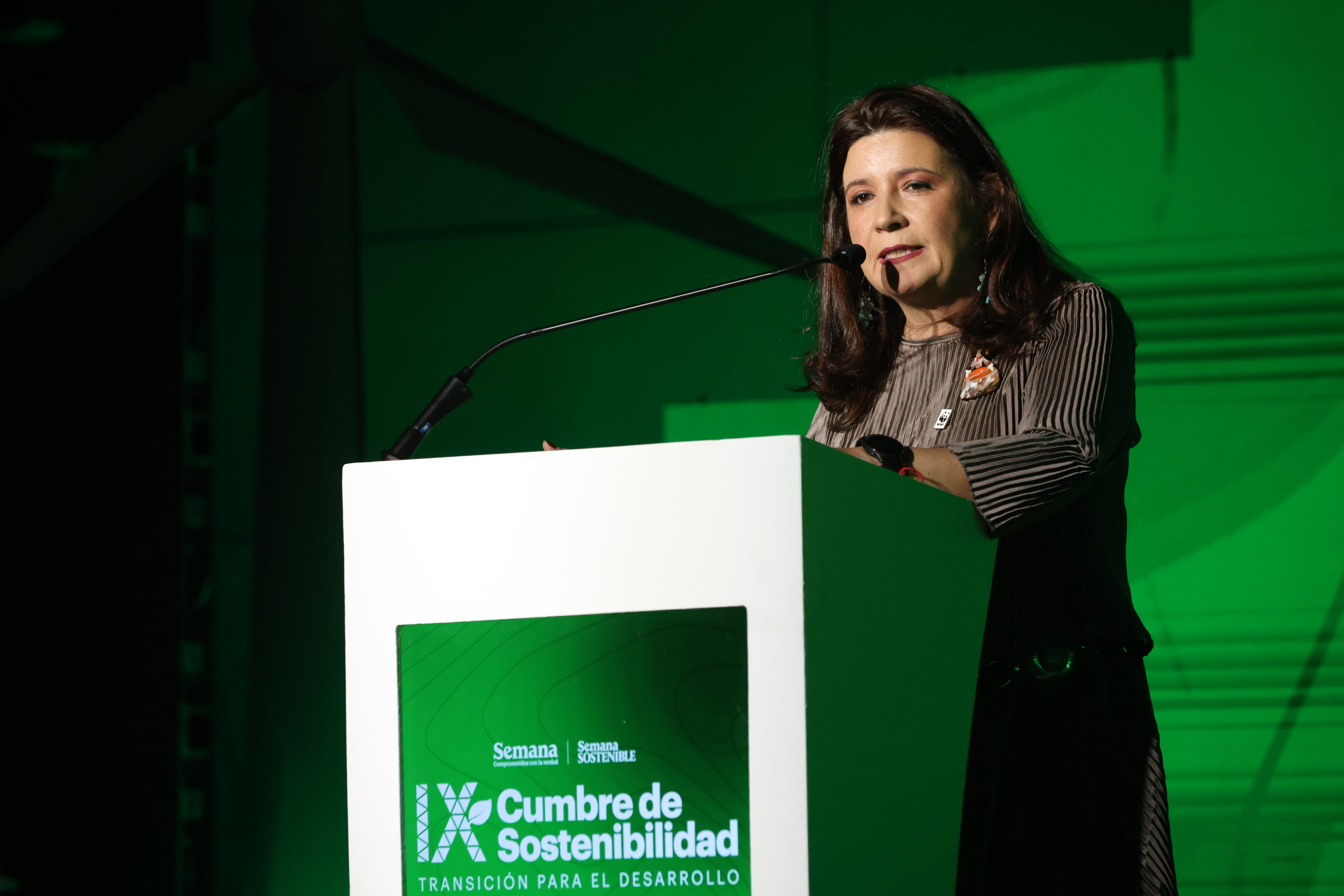 IX Cumbre de Sostenibilidad
Transición para el desarrollo