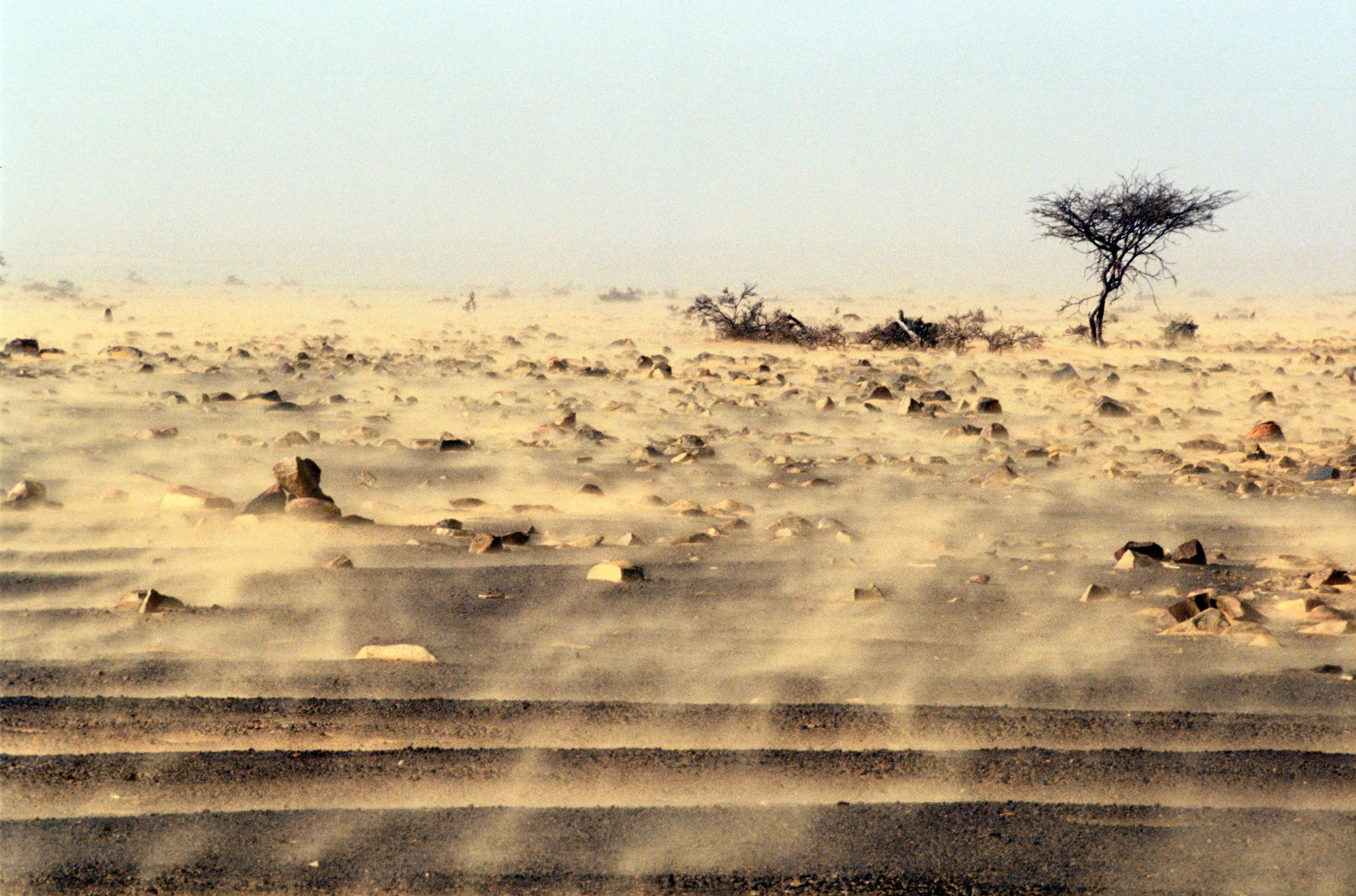Una tormenta de arena azota el desierto del Sahara