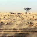 Una tormenta de arena azota el desierto del Sahara