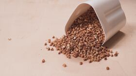 El trigo sarraceno o alforfón es una alternativa de alimentación nueva