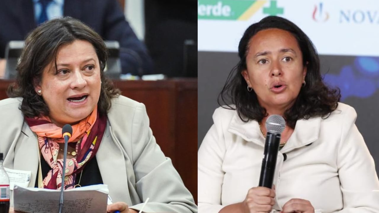 La directora ejecutiva de Gestarsalud, Carmen Eugenia Dávila y la presidente ejecutiva de Acemi, Paula Acosta.