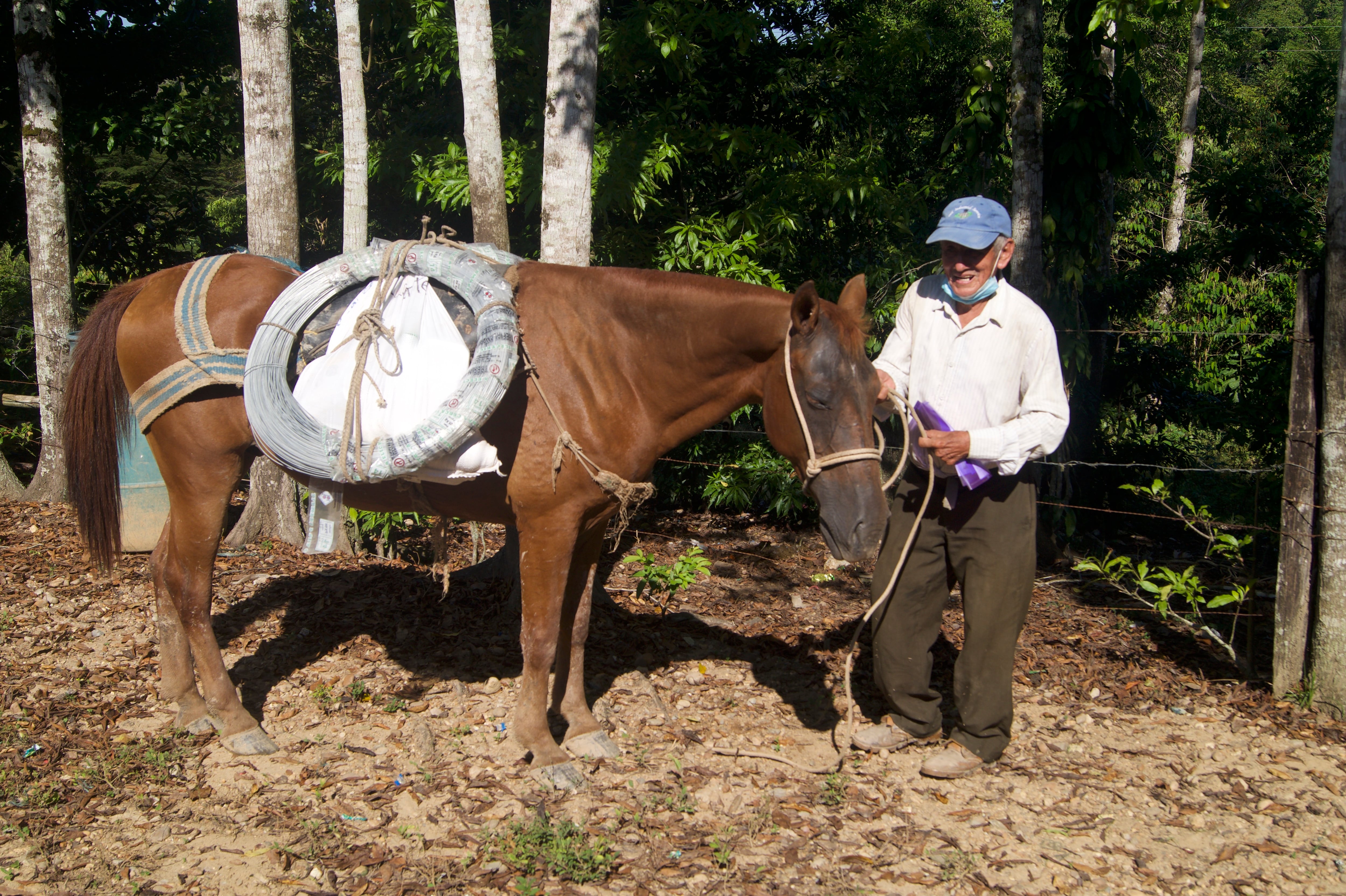 proyecto silvopastoril en Yondó