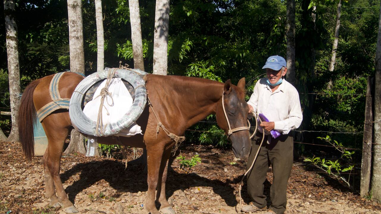 Un total de 71 pequeños productores se beneficiarán de la iniciativa.
