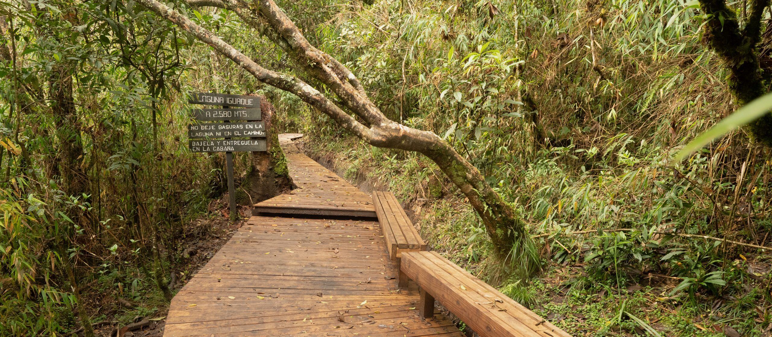 A partir del 1 de septiembre, el Santuario de Fauna y Flora Iguaque, reabrirá al ecoturismo.