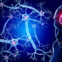 Ilustración de neuronas y cerebro humano