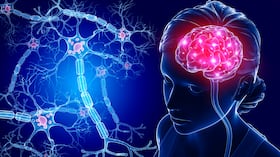 Ilustración de neuronas y cerebro humano