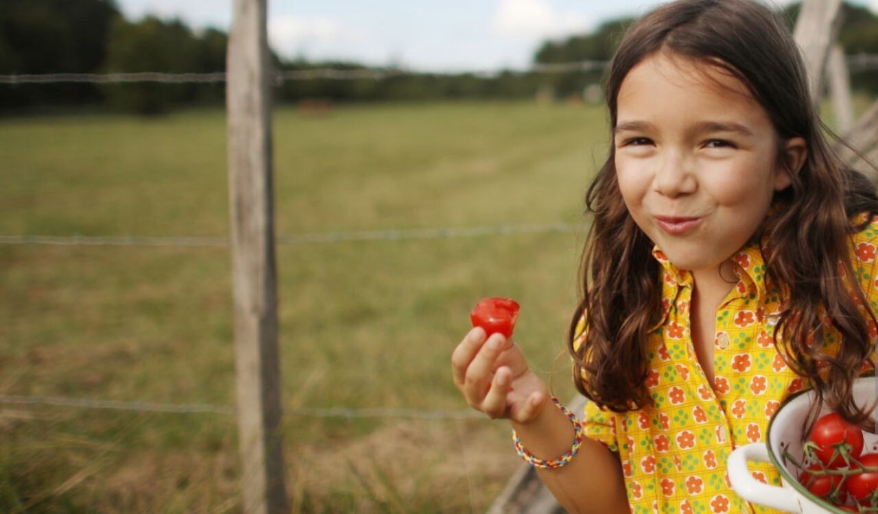 Luego del informe de la FAO que dejó a Colombia muy mal parado, el Gobierno colombiano dio a conocer la inversión que ejecutó en estos dos años.