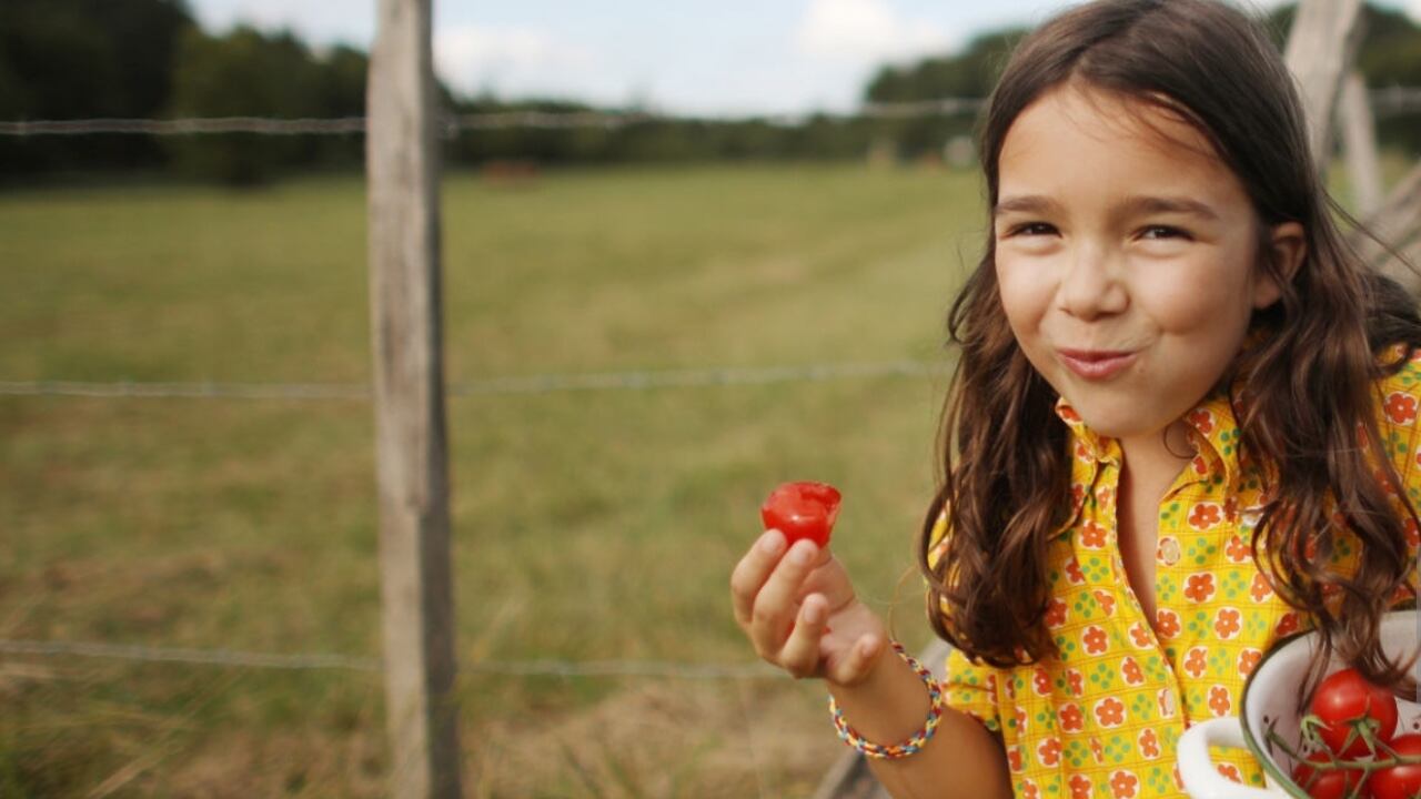 Luego del informe de la FAO que dejó a Colombia muy mal parado, el Gobierno colombiano dio a conocer la inversión que ejecutó en estos dos años.