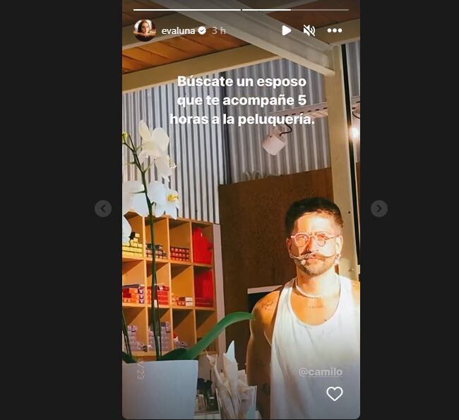 Camilo y Evaluna