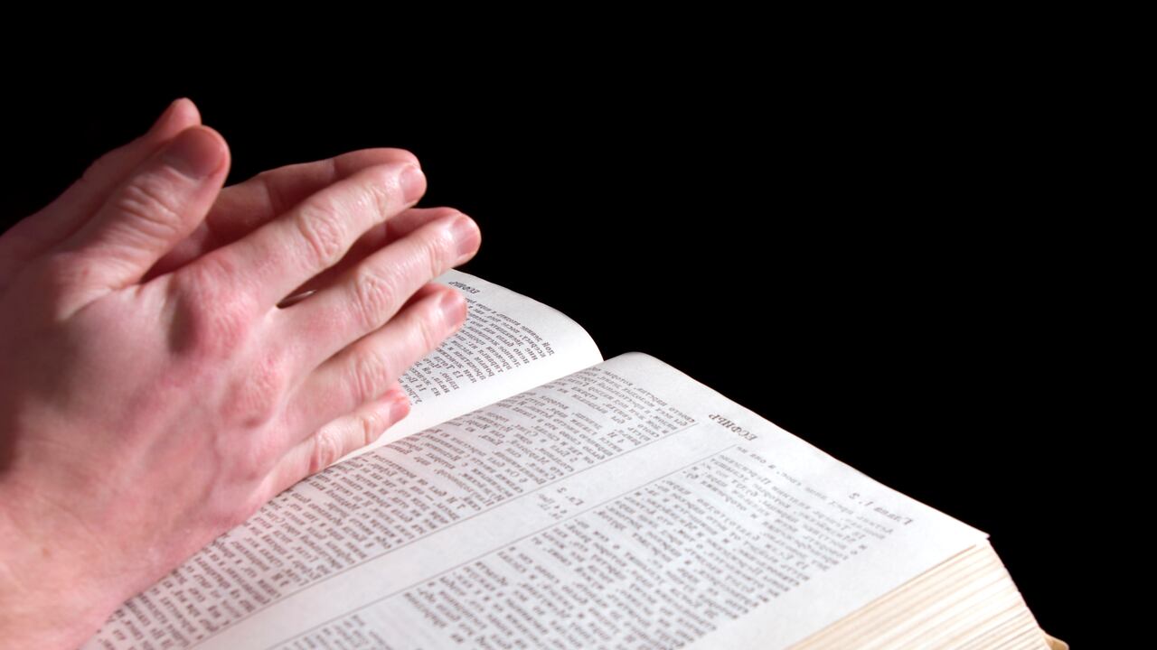 El Evangelio de hoy agosto 5: “Dadles vosotros de comer”.