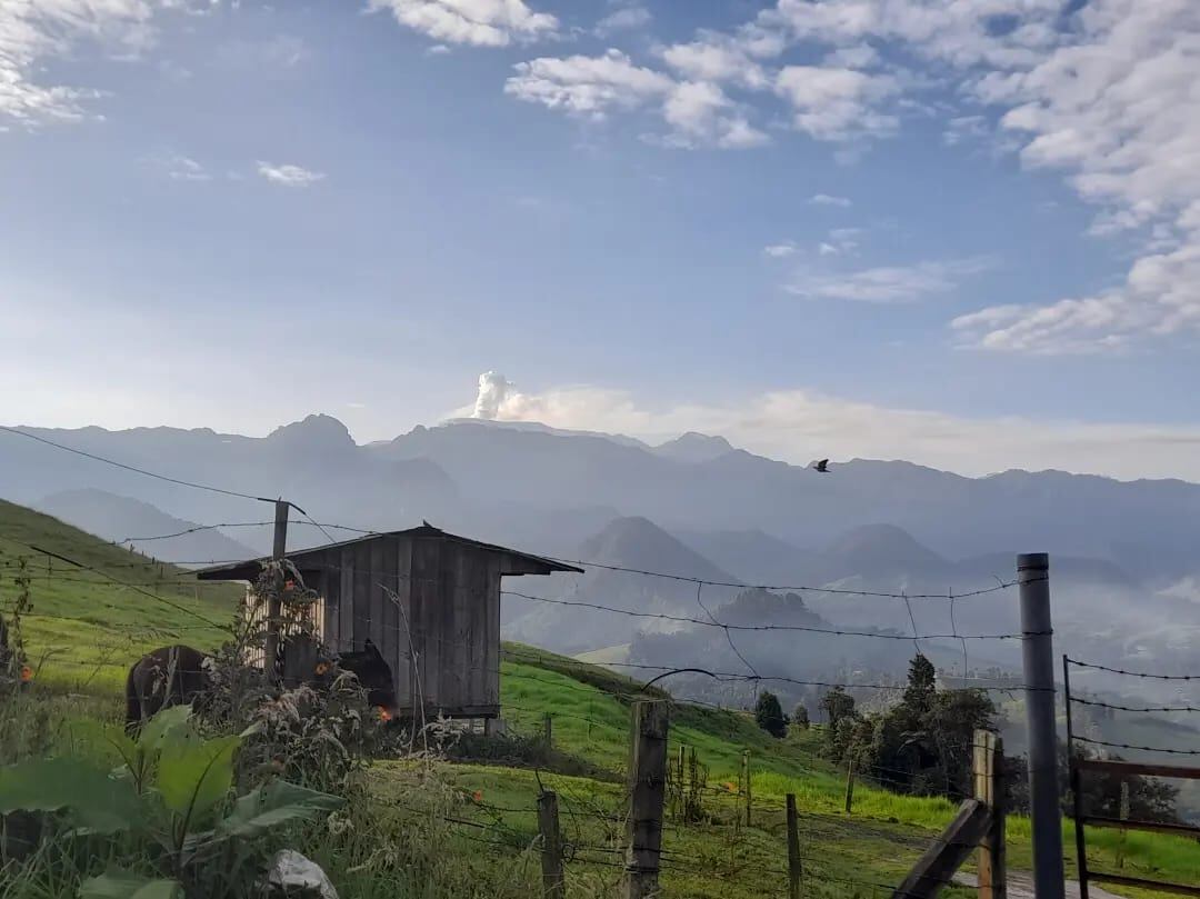 El nivel de actividad se mantiene en III o amarillo