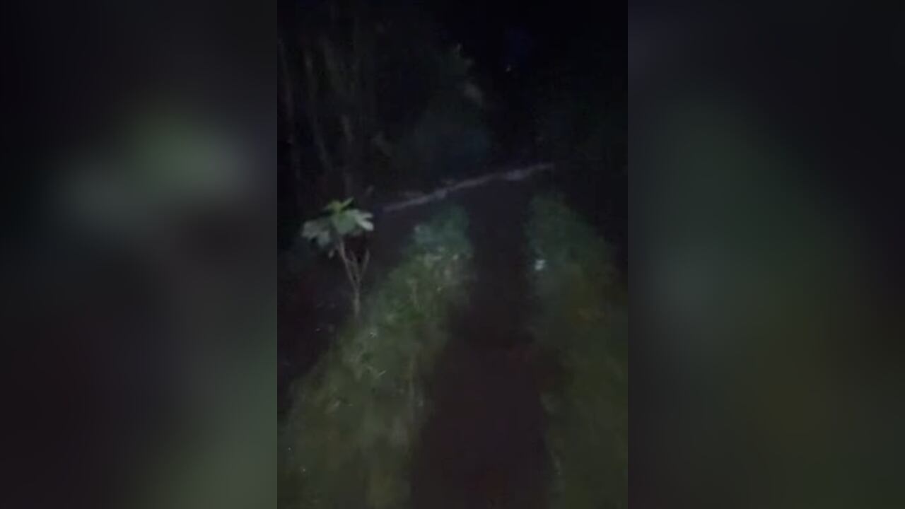 Este es el primer video que se conoce de ese día.