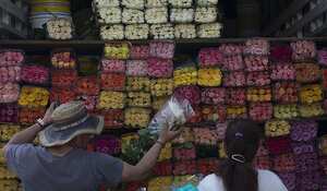 Los cultivos de flores de exportación es una de las actividades que más ha crecido en la región.