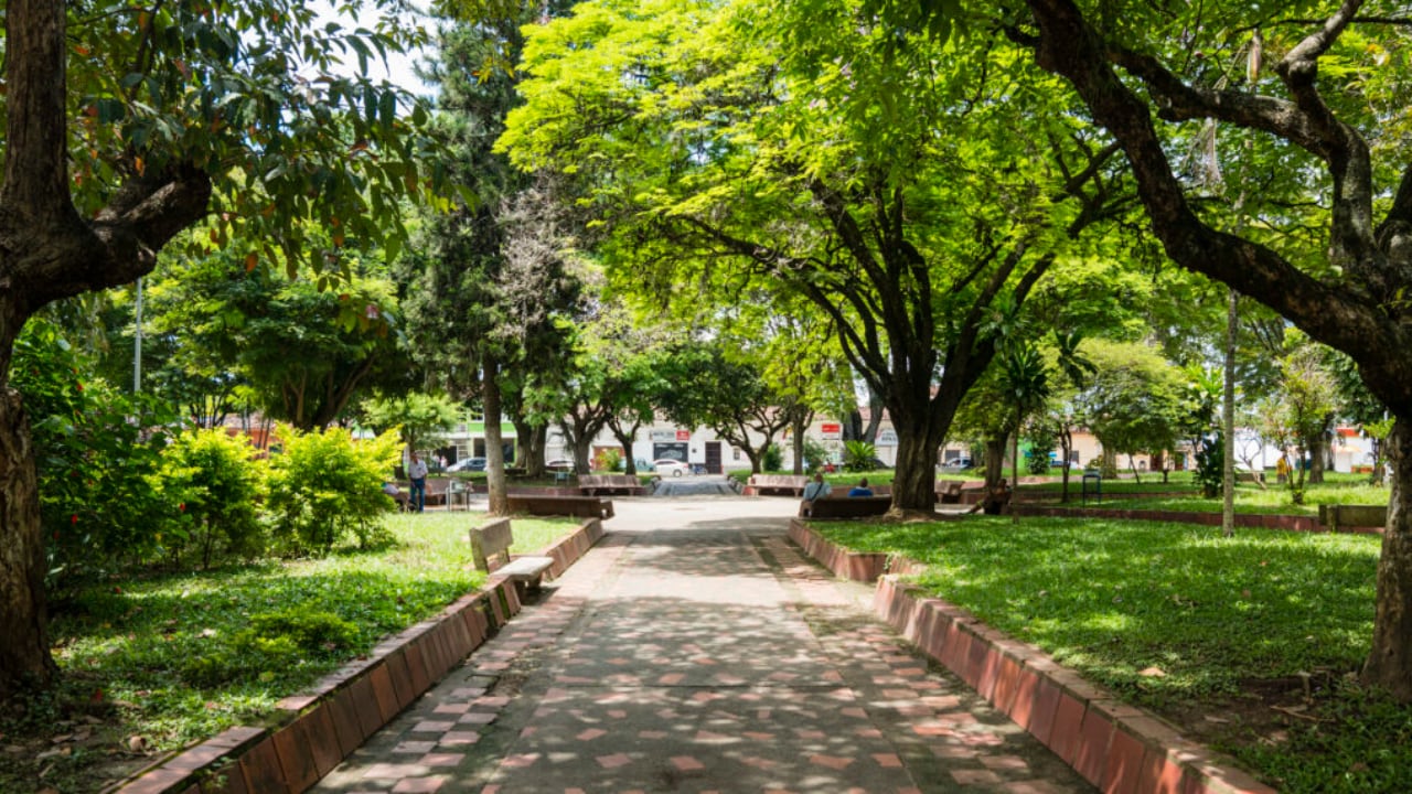 El municipio de Riofrío, en el Valle, es uno de los destinos cafeteros para no perderse.