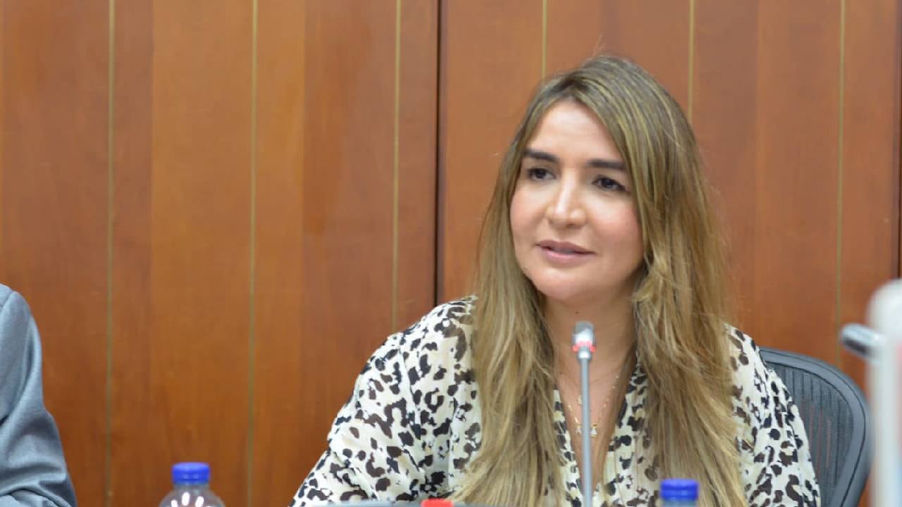 Nadia Blel, la senadora más votada de la colectividad.