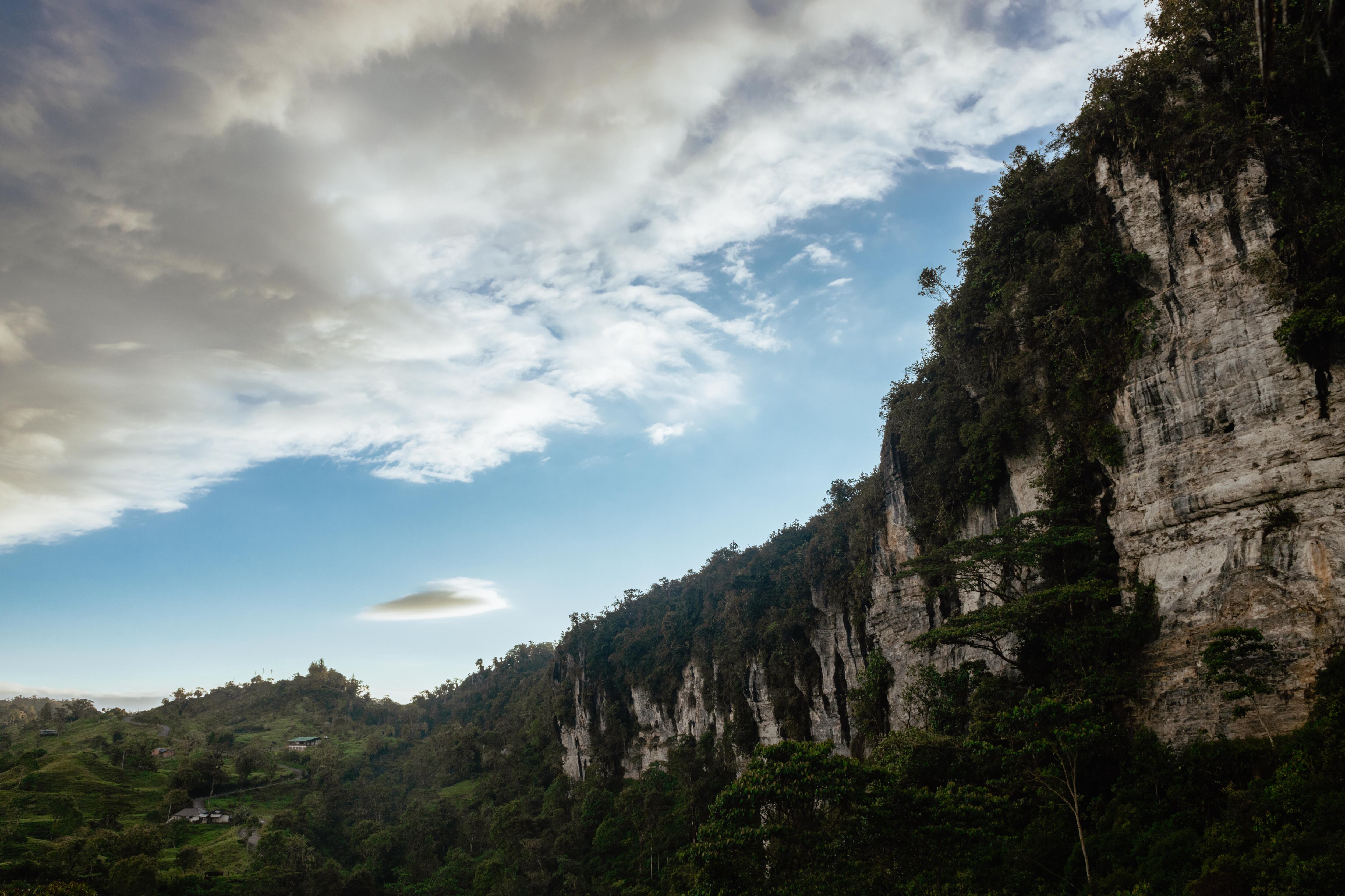 Estas maravillas geológicas forman paredes de rocas calizas.