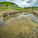 Informe ambiental de Cali Como vamos en contenido de medio ambiente. Escombros, basuras, contaminación de los ríos, males que aquejan el medio ambiente.