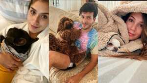 Mascotas de los famosos