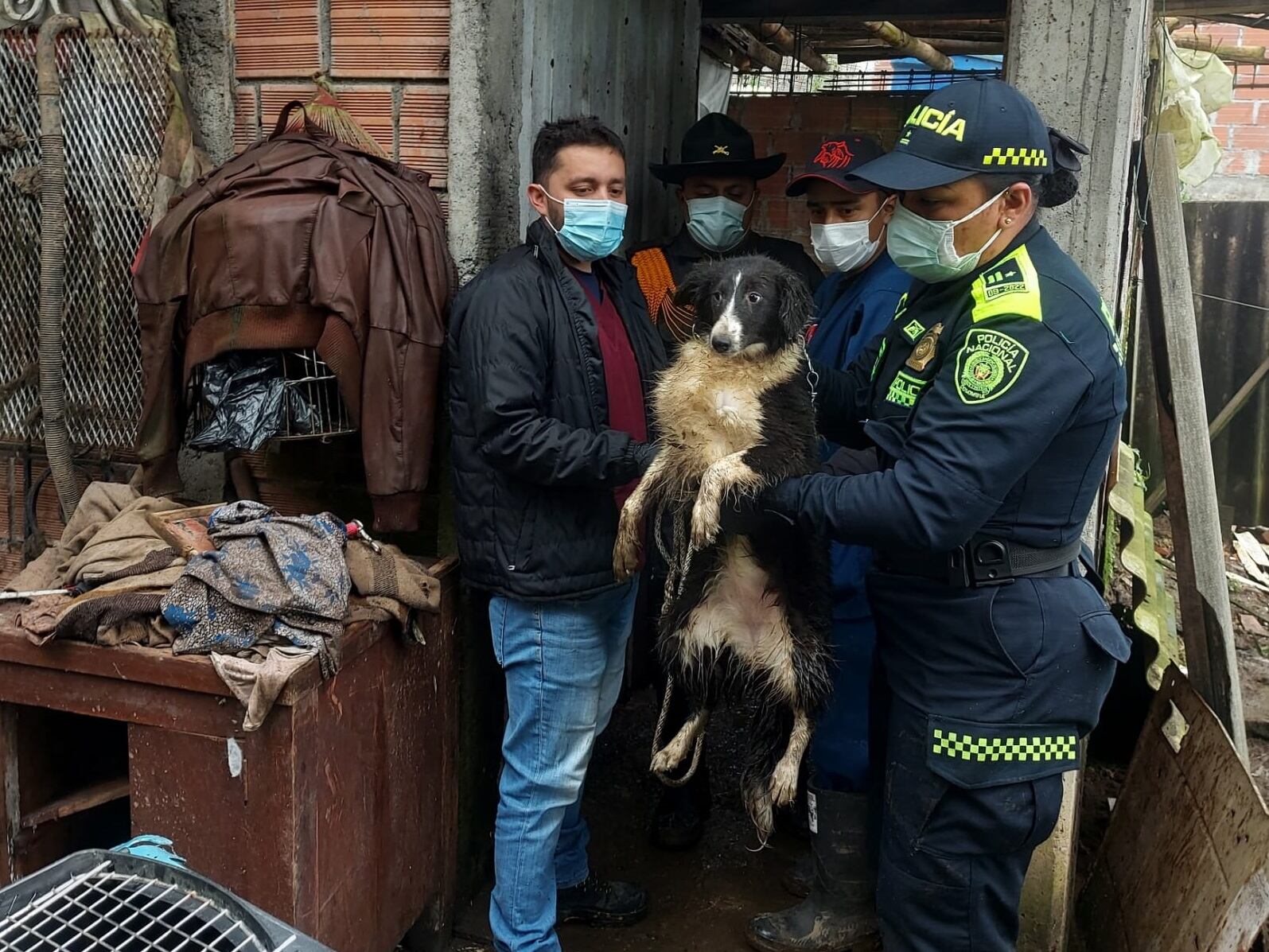 Según la información, su responsable solo los frecuentaba cada 15 días para suministrarles alimentos