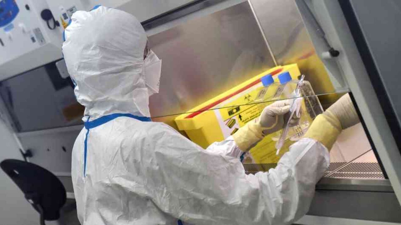 Coronavirus: así avanza ensayo clínico con plasma para hacerle frente al virus/Foto: archivo AFP