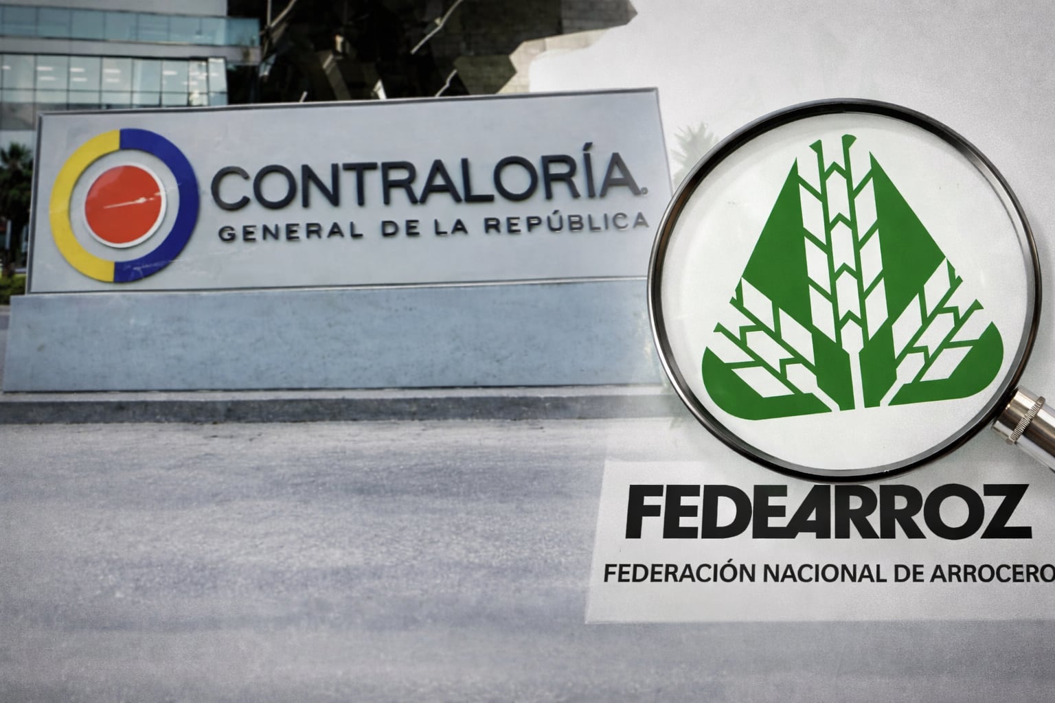 Contraloría hizo auditoría a fondo de Fedearroz.