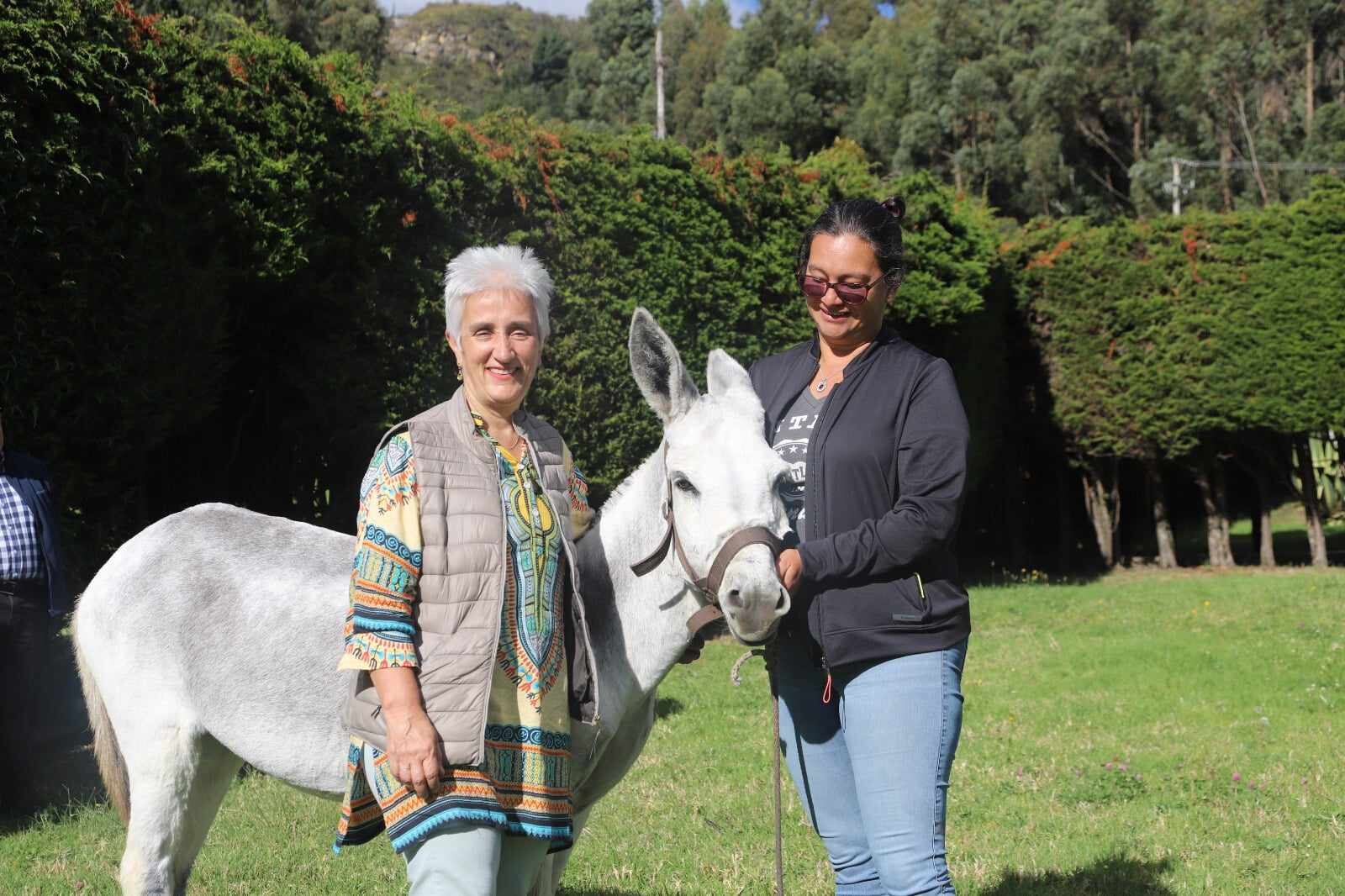 Adriana Estrada, directora del IDPYBA.