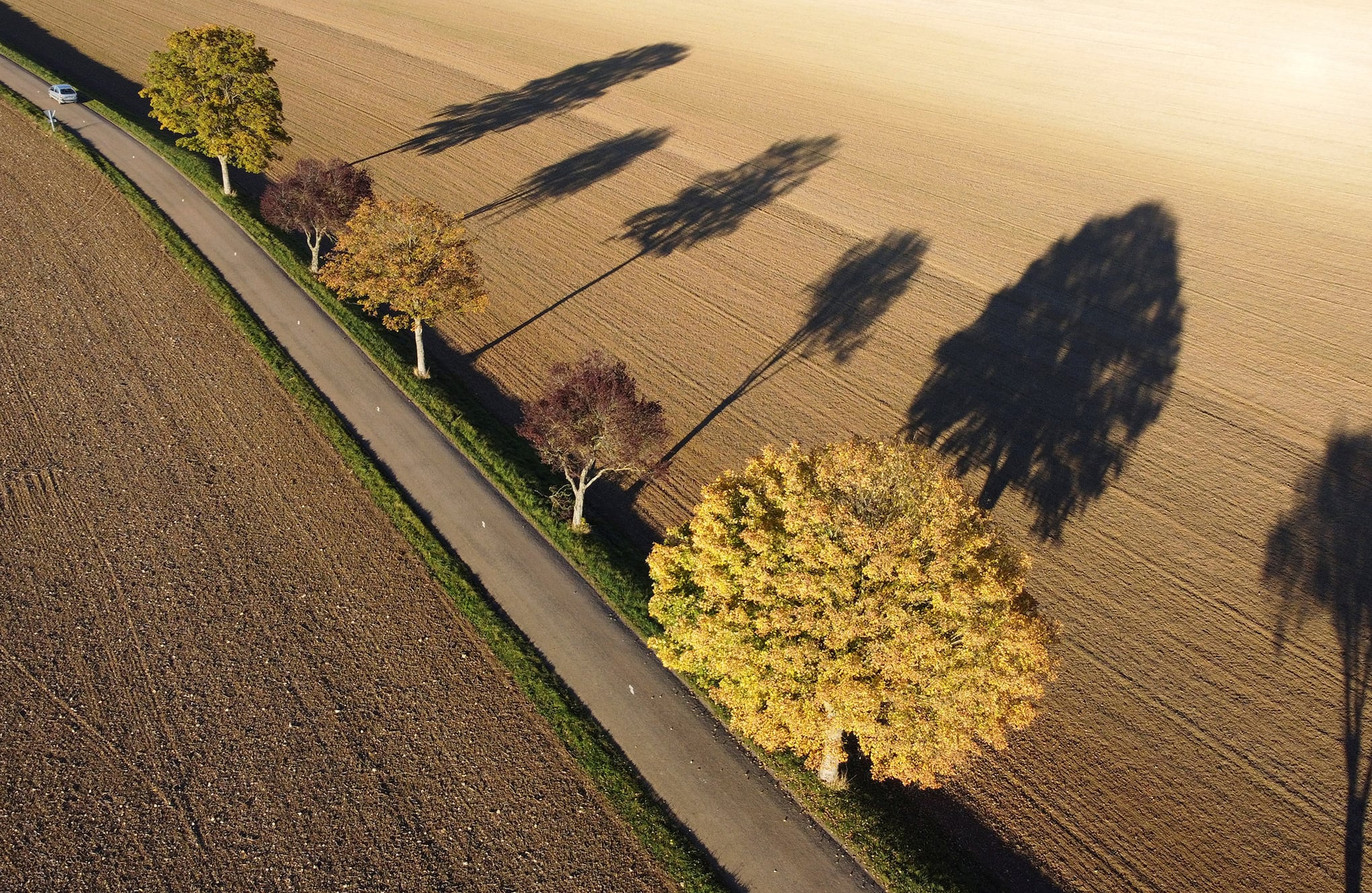 Espectaculares colores de otoño en todo el mundo.