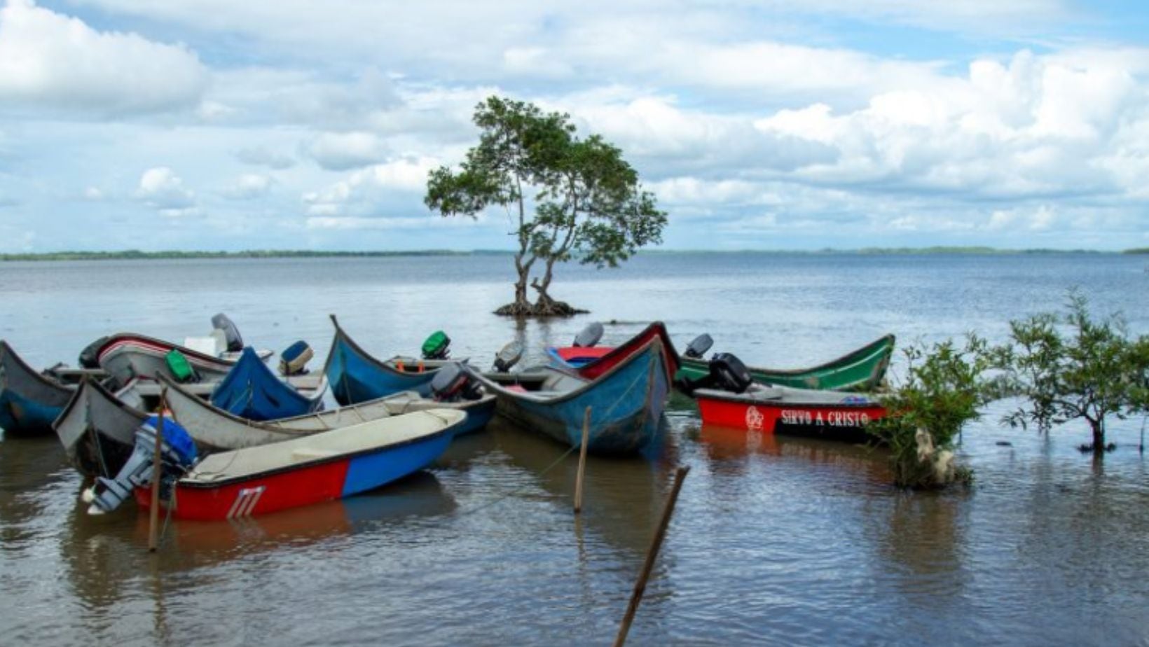Sanquianga, el reino de los manglares y hogar de tortugas marinas en Colombia