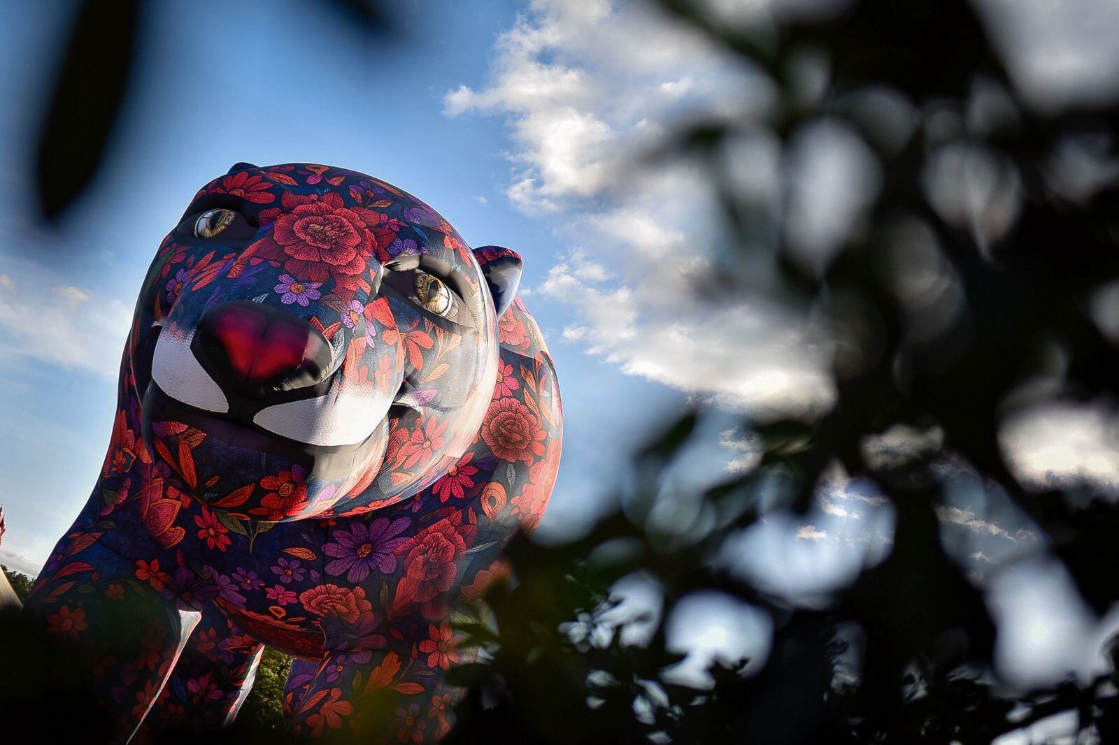 Así se vivió el primer día del Festival Cordillera: un ambiente cargado de música, baile y energía colectiva, donde miles de asistentes disfrutaron de los sonidos latinoamericanos.