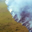 Miles de hectáreas han sido arrasadas por el fuego