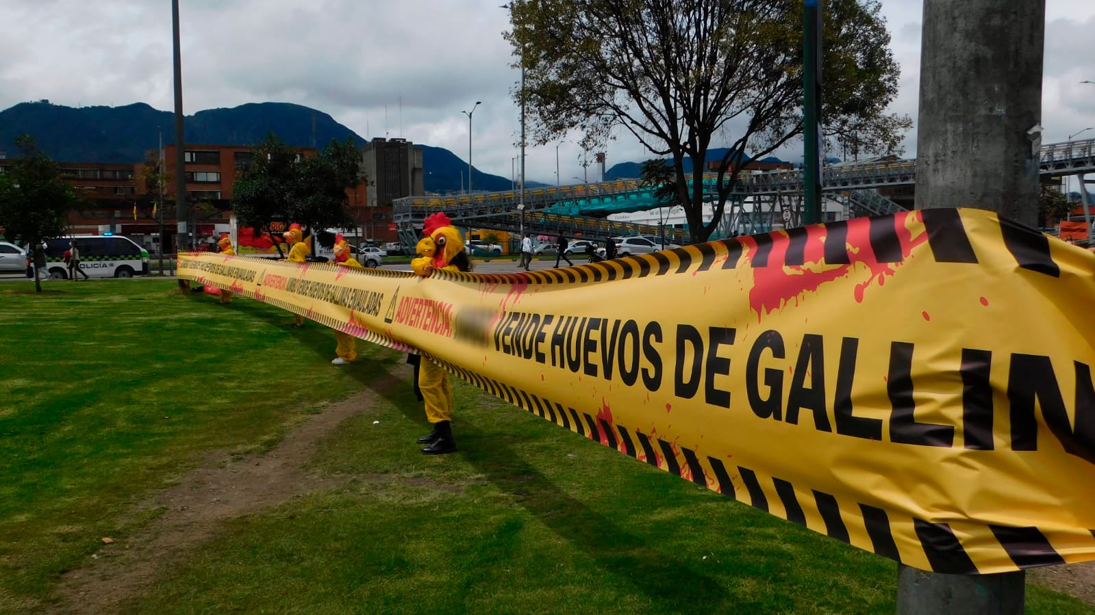 Protesta por venta de huevos de gallinas enjauladas en supermercado