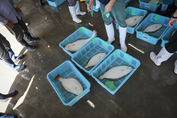 "Las restricciones se mantendrán en vigor hasta que se suministre la información exhaustiva necesaria para confirmar la seguridad" de estos productos, precisó la misma fuente.