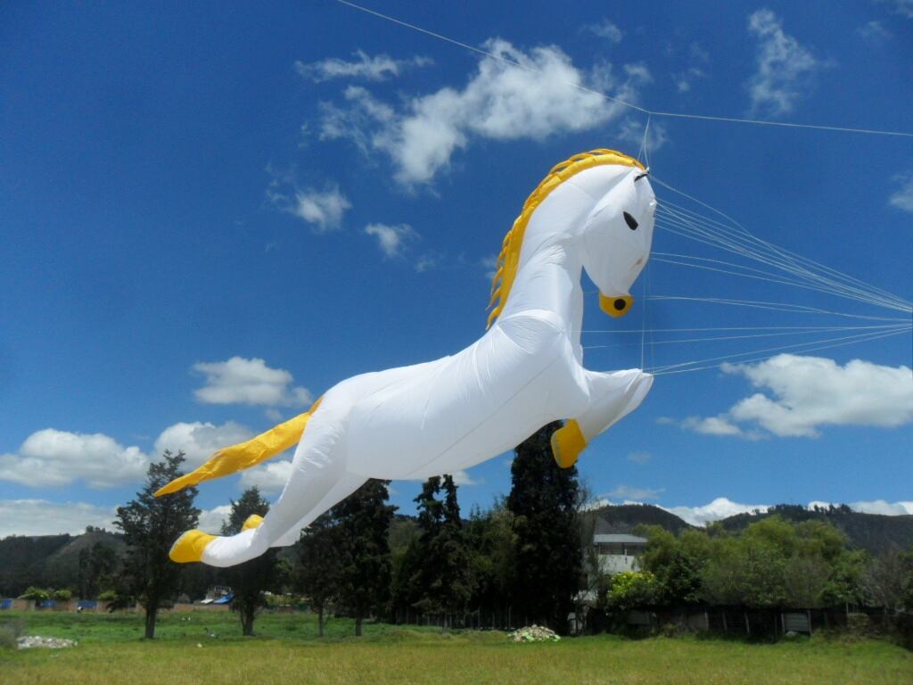 Al principio guardaban todos los implementos en las casas de los cometeros, pero tras la adquisición y fabricación de muchas cometas, tuvieron que alquilar un garaje Cajicá.