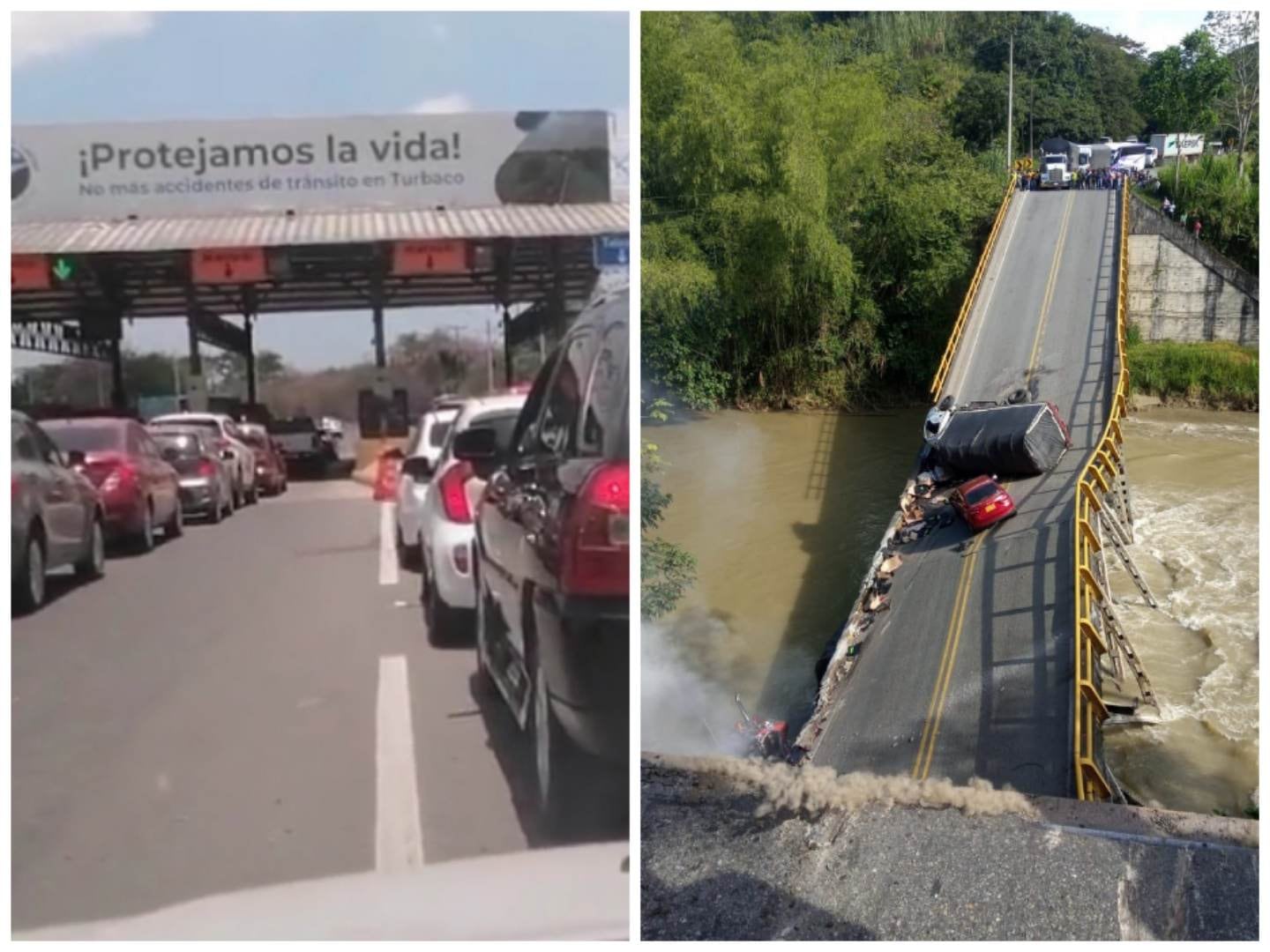 (Imagen de referencia)