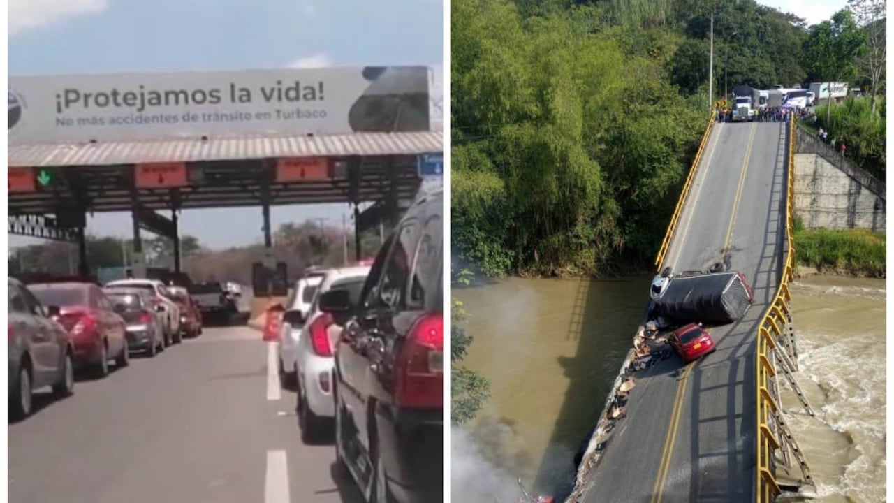 (Imagen de referencia)