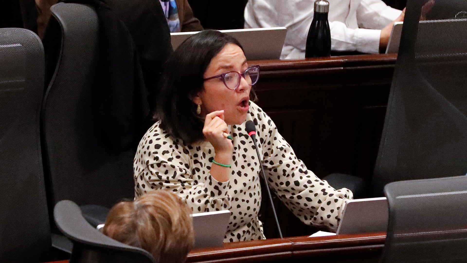 Jennifer Pedraza, Representante a la Cámara Partido Dignidad