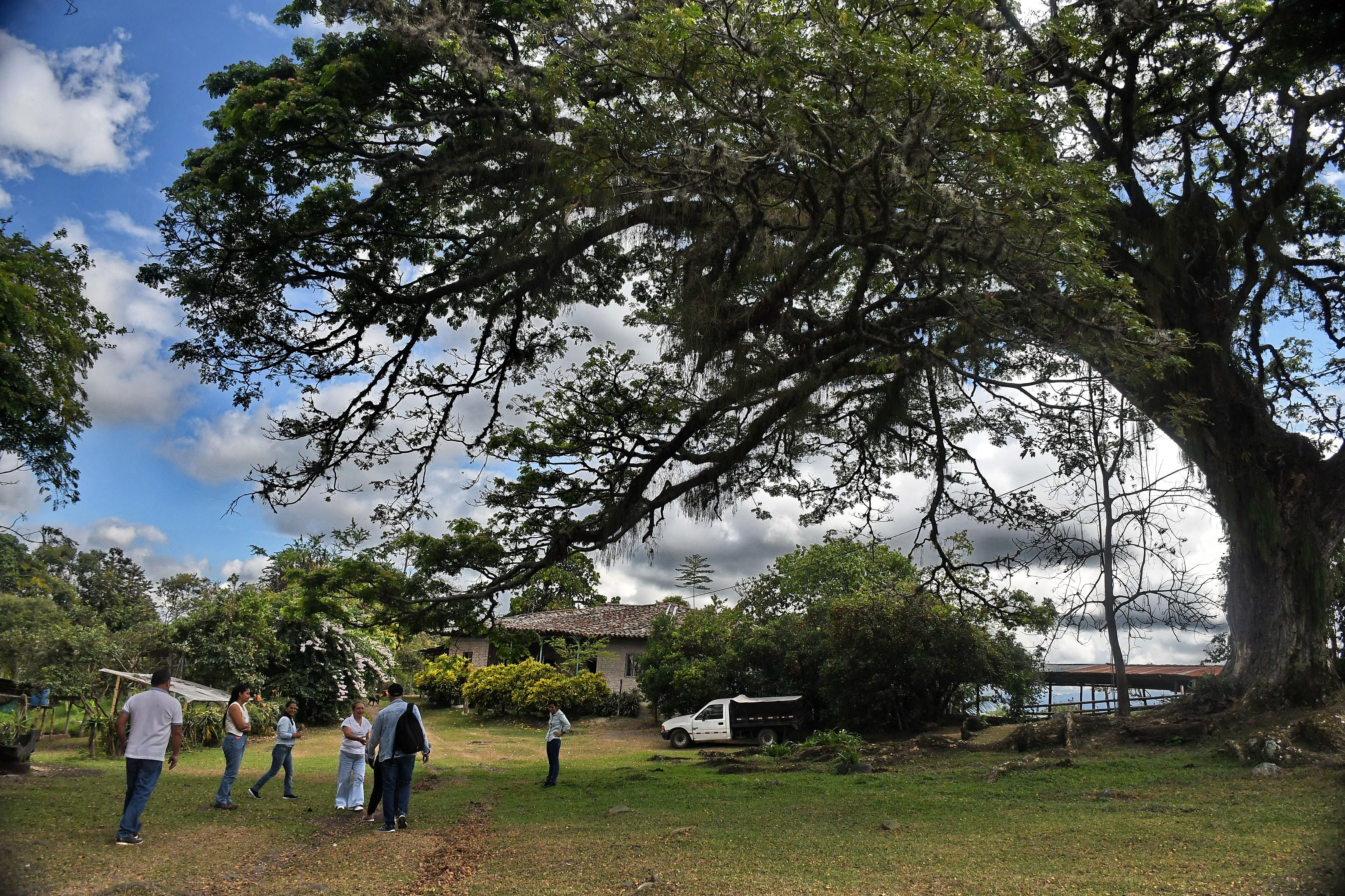 Palmira; Recorrido por Fincas Agroturisticas, Carton de Colombia. Foto José L Guzmán. EL País