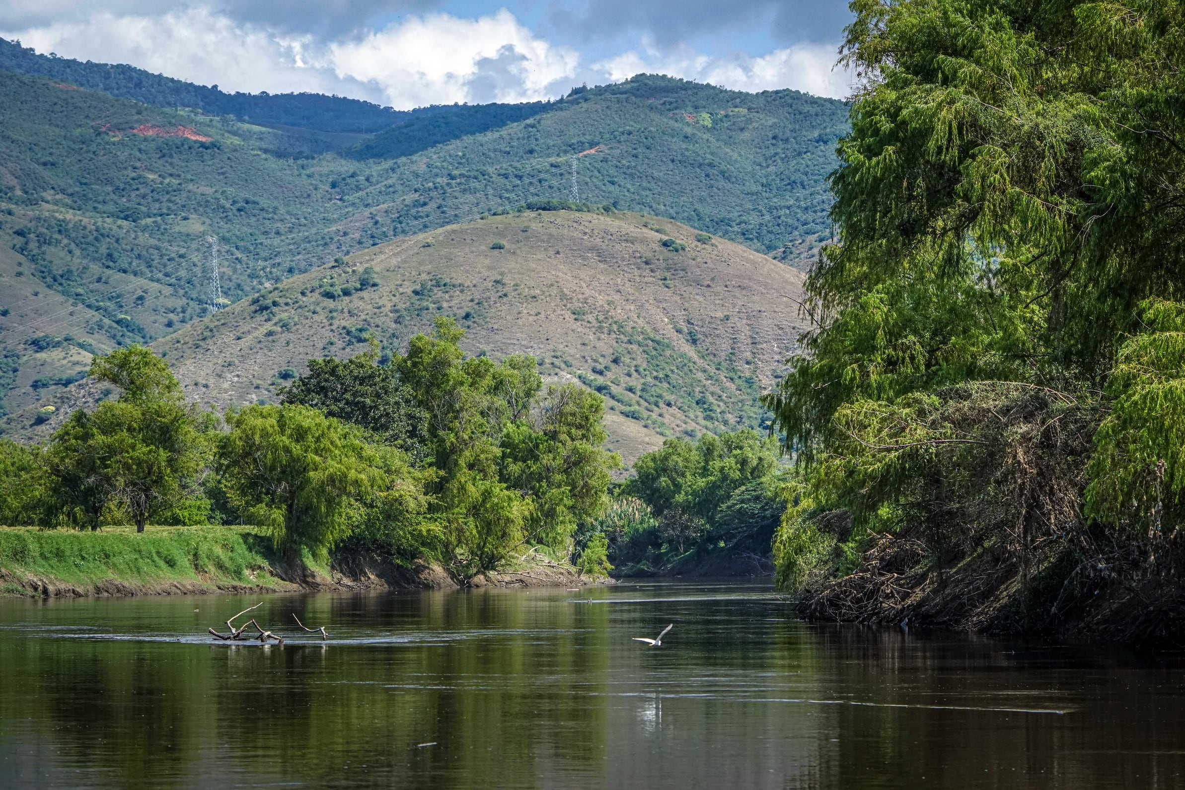 El río Cauca atraviesa al Valle del Cauca en un recorrido de 400 km que finaliza en Cartago. El punto más crítico de contaminación es Cali y Yumbo. A partir de Vijes, el río se recupera. 

Foto Jorge Orozco/ El País